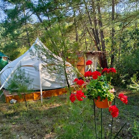 מלון Eleousa Vinsan Glamping & Wellness Centre מראה חיצוני תמונה