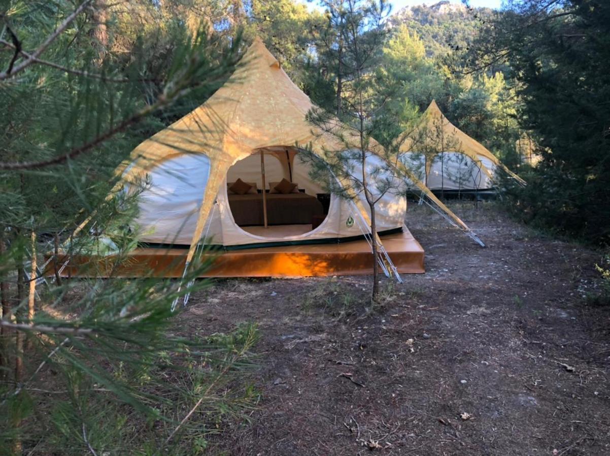 מלון Eleousa Vinsan Glamping & Wellness Centre מראה חיצוני תמונה