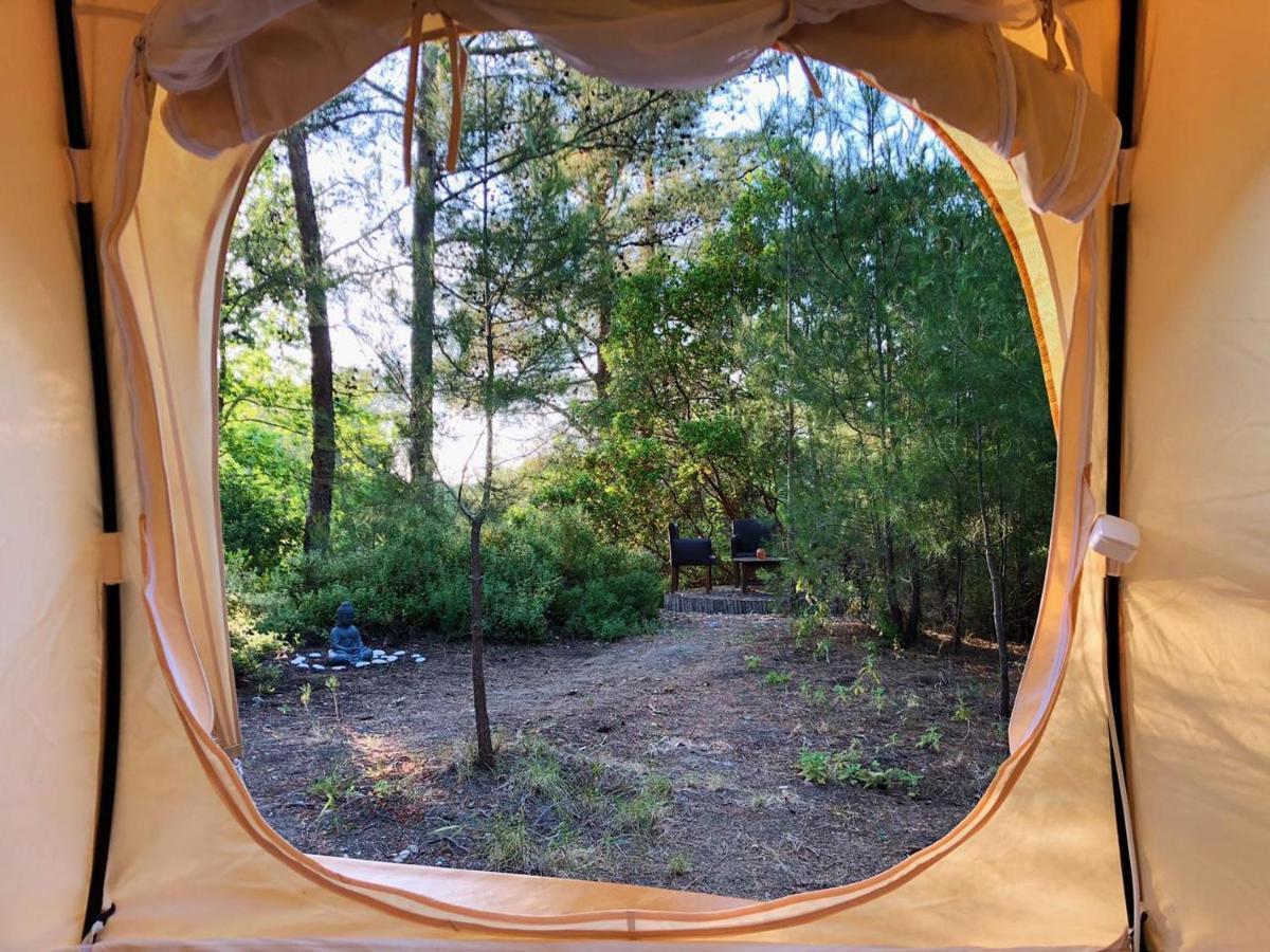 מלון Eleousa Vinsan Glamping & Wellness Centre מראה חיצוני תמונה