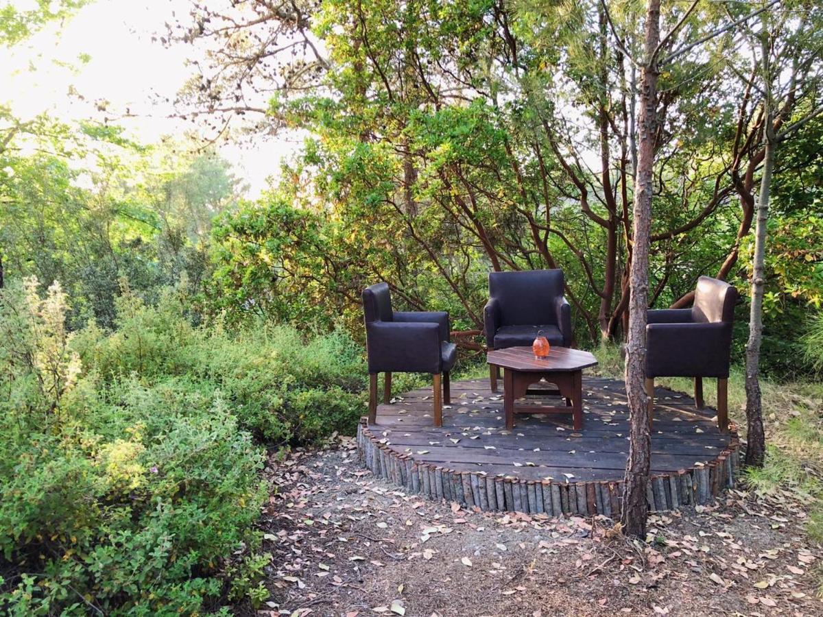 מלון Eleousa Vinsan Glamping & Wellness Centre מראה חיצוני תמונה