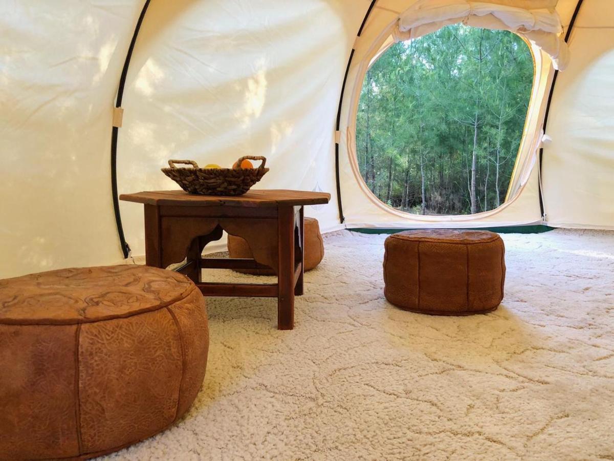 מלון Eleousa Vinsan Glamping & Wellness Centre מראה חיצוני תמונה