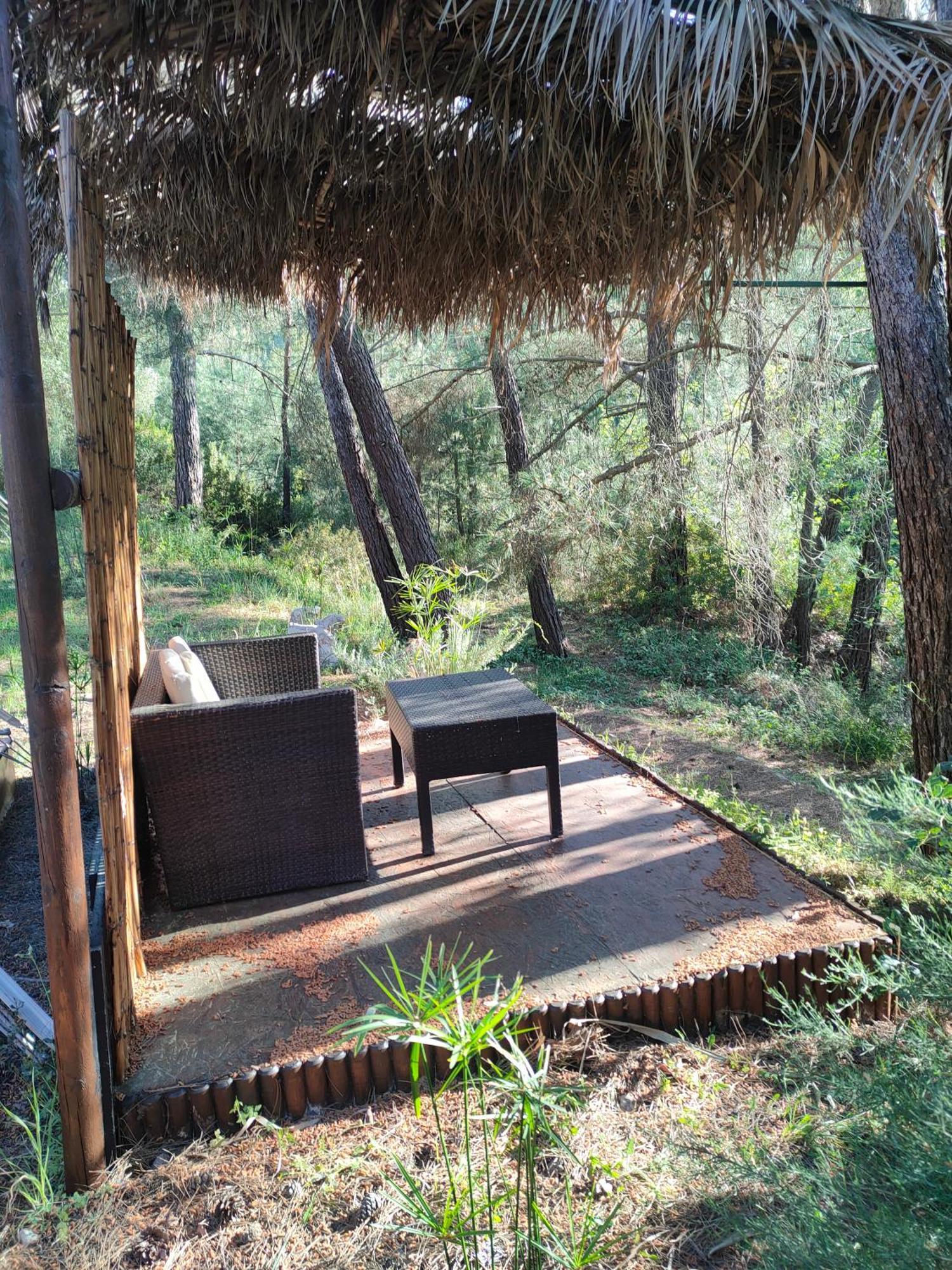מלון Eleousa Vinsan Glamping & Wellness Centre מראה חיצוני תמונה