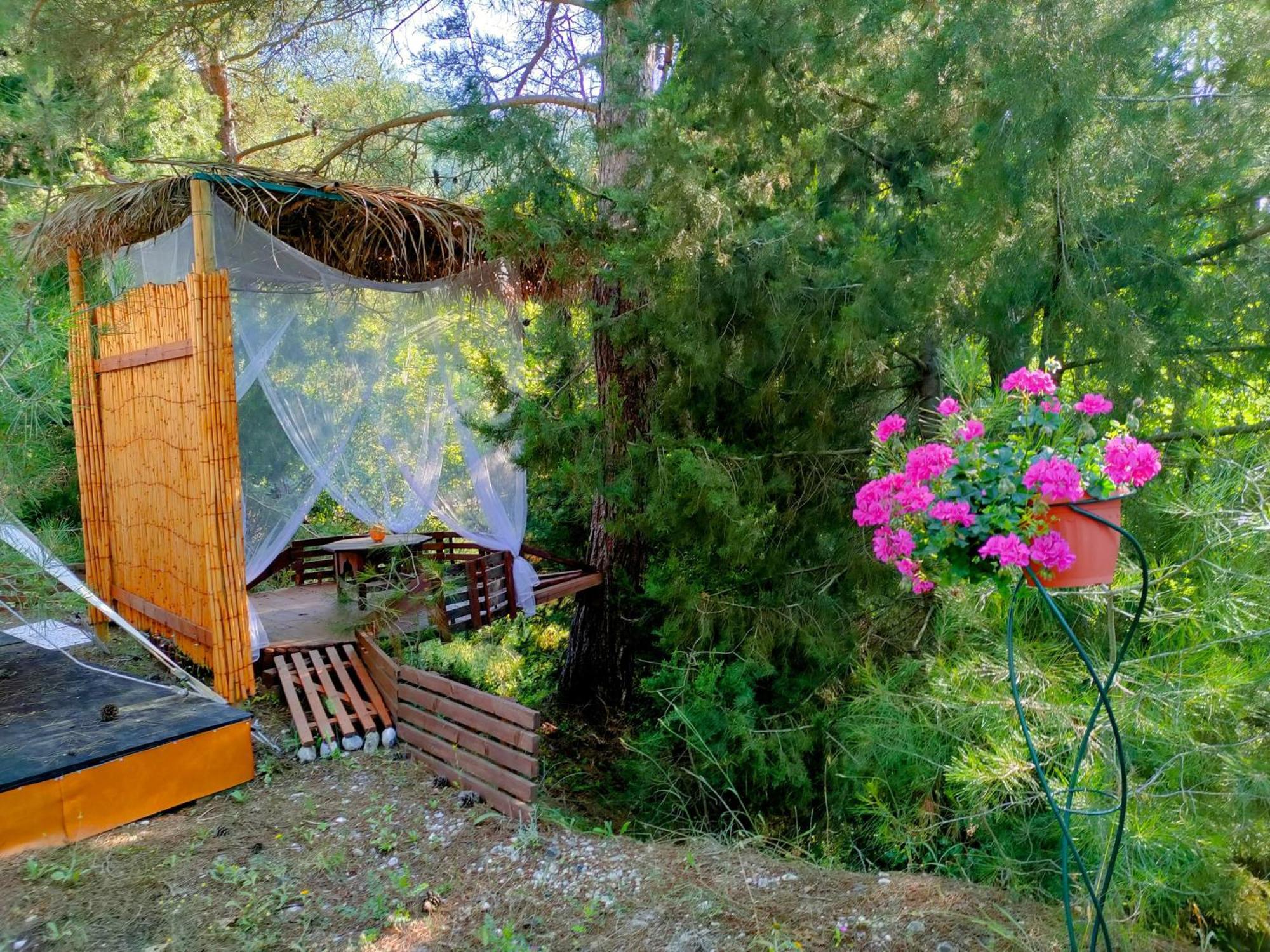 מלון Eleousa Vinsan Glamping & Wellness Centre מראה חיצוני תמונה